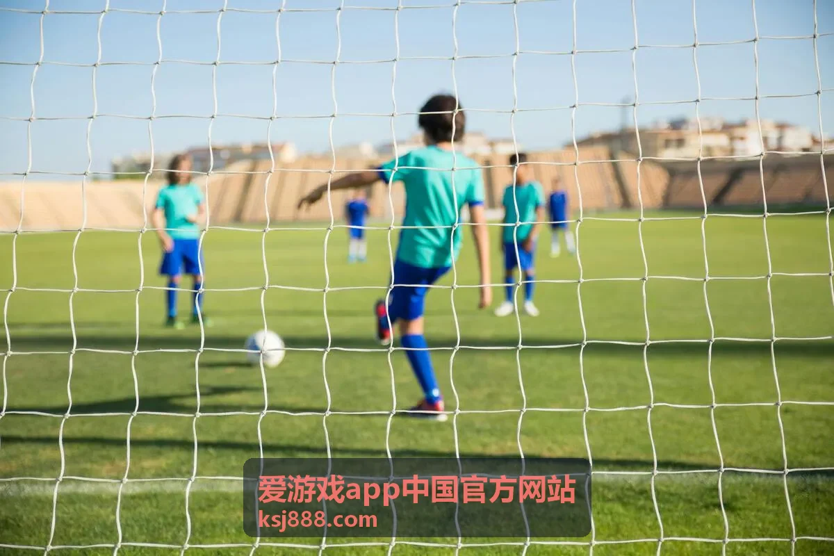 爱游戏app 系统环境兼容性确认推荐封面