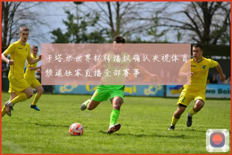 卡塔尔世界杯转播权确认央视体育频道独家直播全部赛事