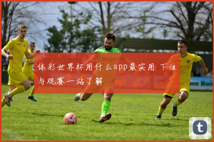 体彩世界杯用什么app最实用 下注与观赛一站了解