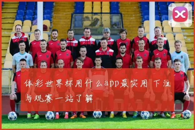 体彩世界杯用什么app最实用 下注与观赛一站了解