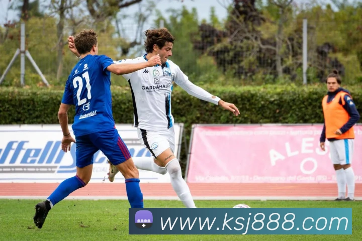 k体育官方下载平台生态图