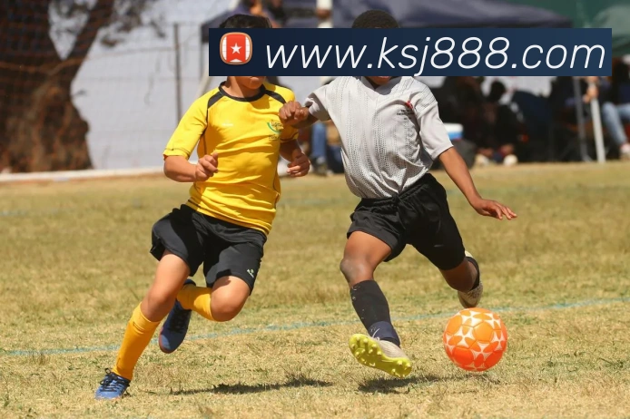 辅助工具 辅助工具